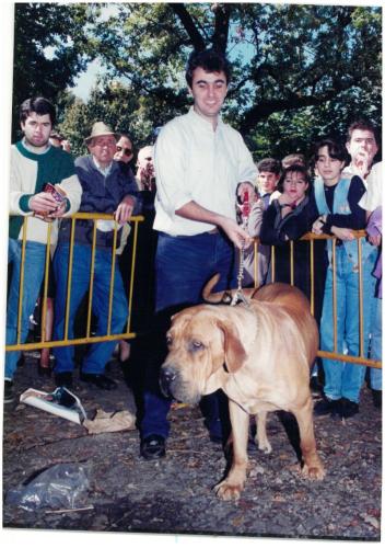 1995 Cans de caza 37