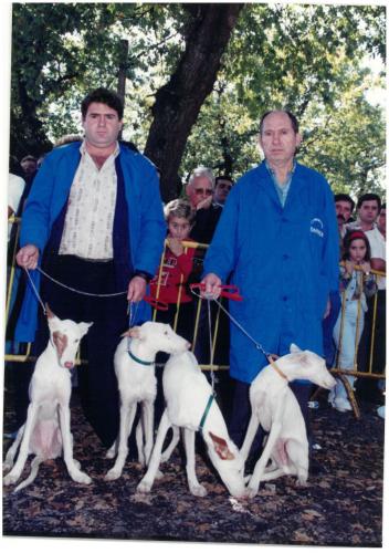 1995 Cans de caza 41