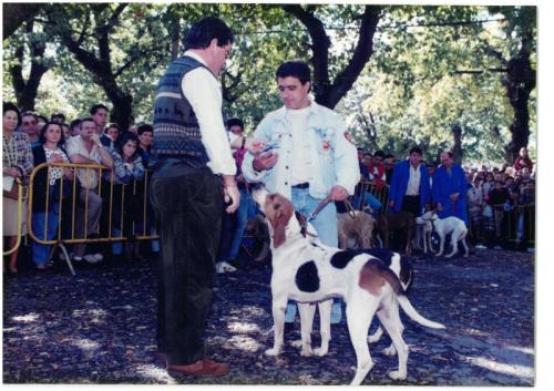 1995 Cans de caza 51