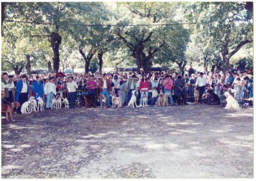 1995 Cans de caza 52