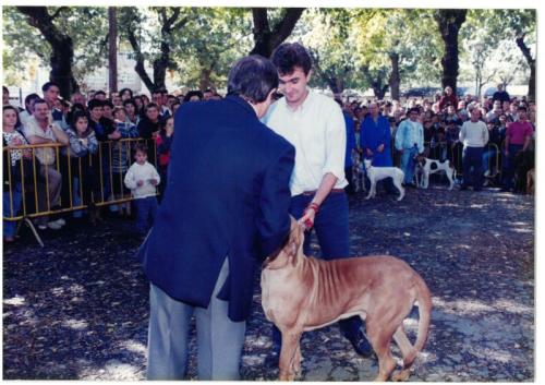 1995 Cans de caza 55