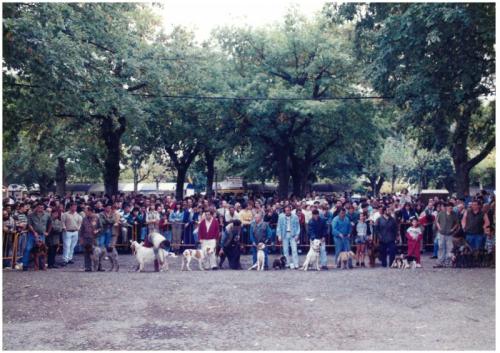 1995 Cans de caza 2 06
