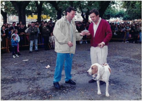 1995 Cans de caza 2 15