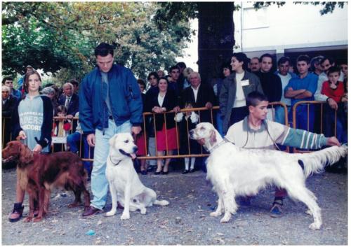 1995 Cans de caza 2 22