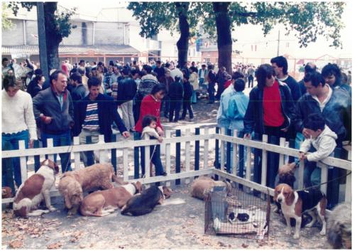 1996 Cans de caza 02