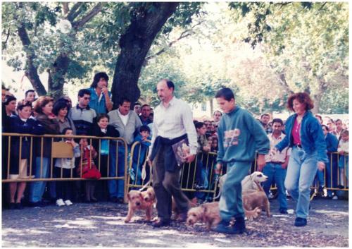 1996 Cans de caza 08