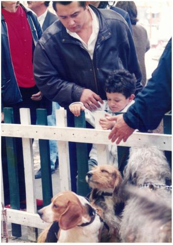 1996 Cans de caza 19