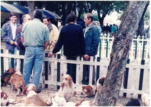 1996 Cans de caza 28