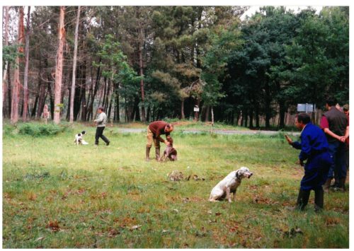1997 ADESTRAMENTO E CRIA CANS DE CAZA-15