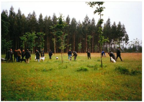 1997 ADESTRAMENTO E CRIA CANS DE CAZA-17