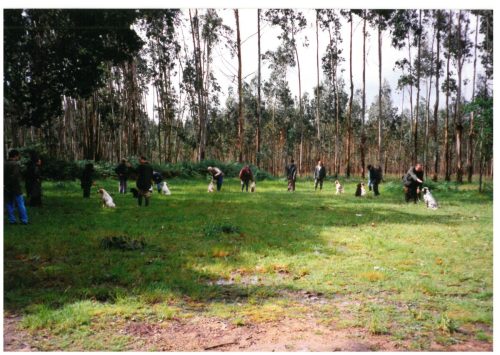 1997 ADESTRAMENTO E CRIA CANS DE CAZA-18