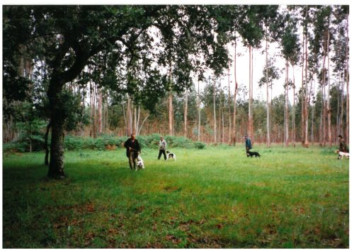 1997 ADESTRAMENTO E CRIA CANS DE CAZA-22