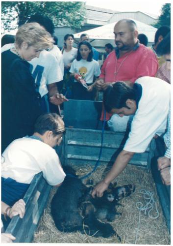 1997 Cans de caza 02