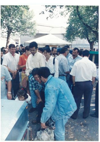 1997 Cans de caza 04