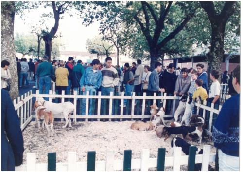 1997 Cans de caza 05