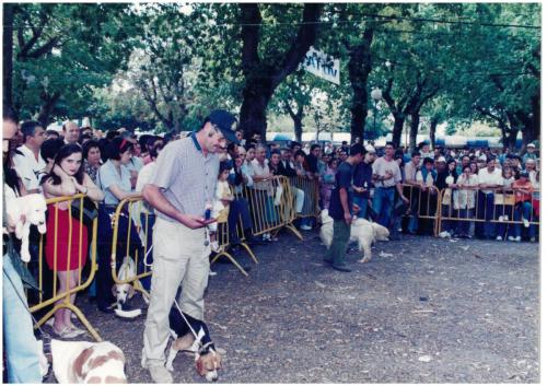 1997 Cans de caza 10