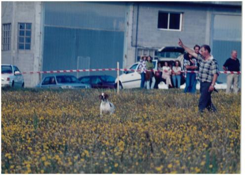 1997 Cans de caza 125