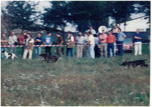 1997 Cans de caza 138