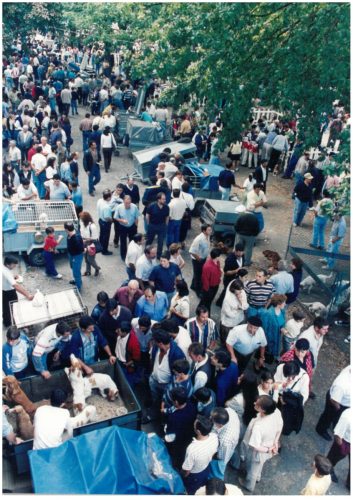 1997 Cans de caza 146