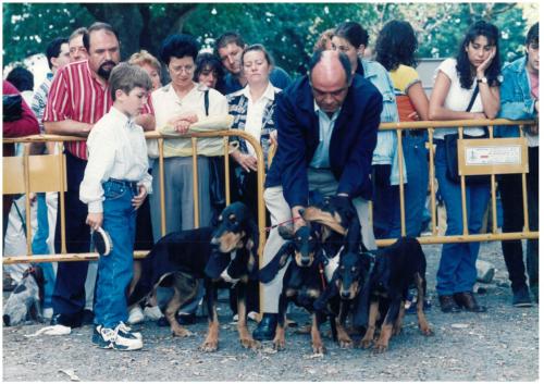 1997 Cans de caza 21