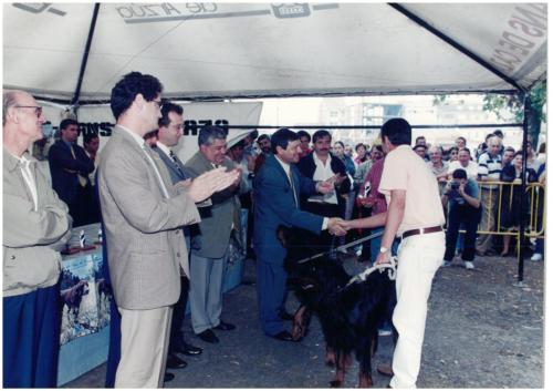 1997 Cans de caza 50