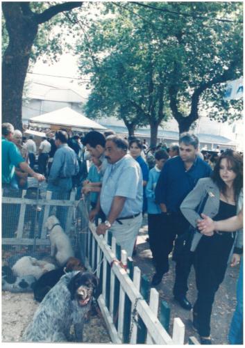 1997 Cans de caza 73