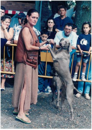 1997 Cans de caza 76