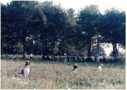 1997 Cans de caza 81