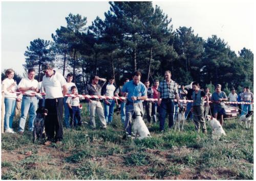 1997 Cans de caza 85