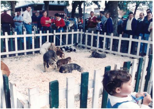 1997 Cans de caza 2 100
