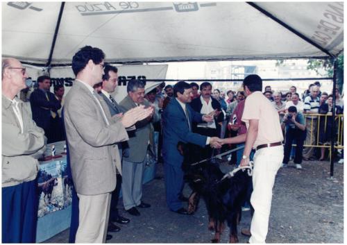 1997 Cans de caza 2 114