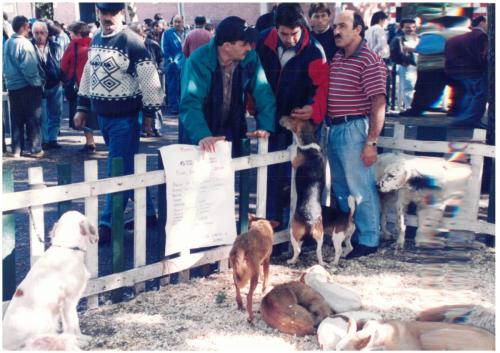 1997 Cans de caza 2 115