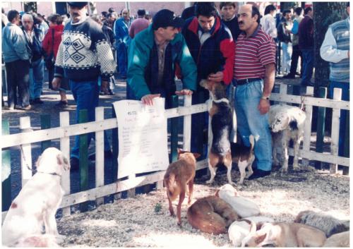 1997 Cans de caza 2 121