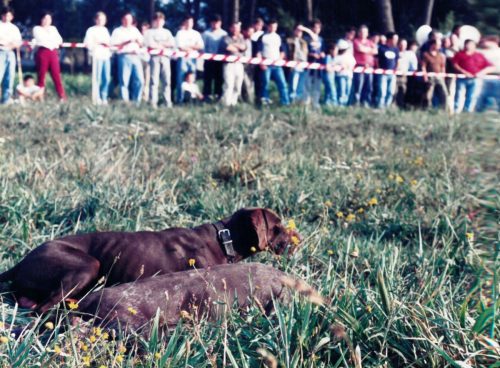 1997 Cans de caza 2 141