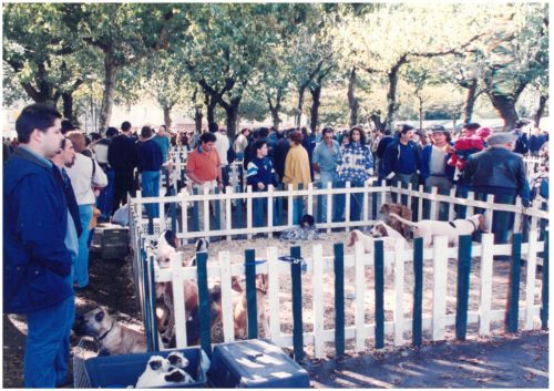 1997 Cans de caza 2 147