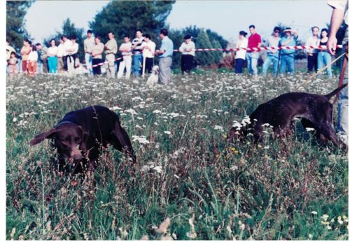 1997 Cans de caza 2 150