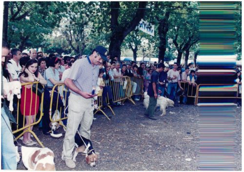 1997 Cans de caza 2 42
