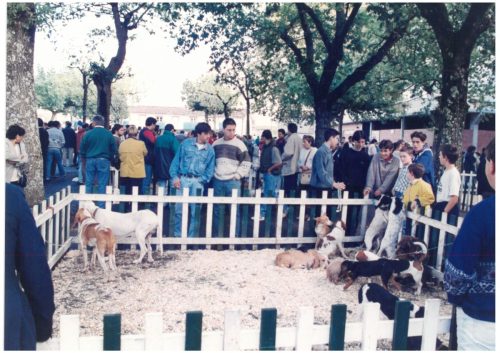 1997 Cans de caza 2 46