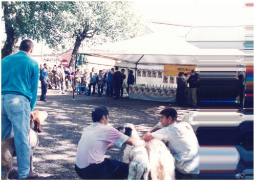 1997 Cans de caza 2 90