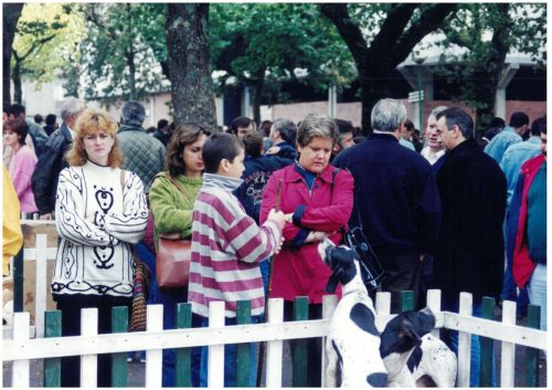 1998 Cans de caza 66