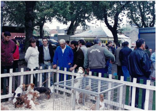 1998 Cans de caza 71