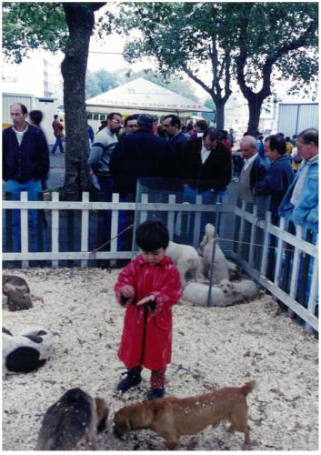 1998 Cans de caza 80