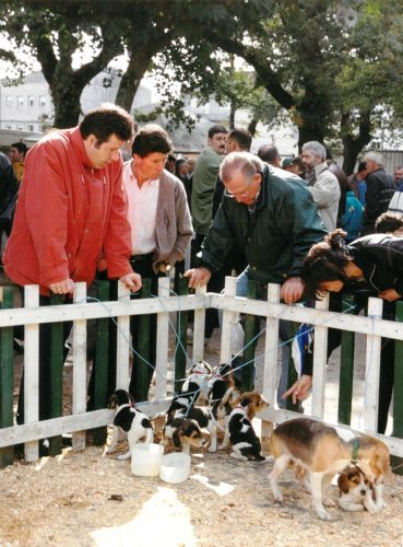 1999 Cans de caza 25