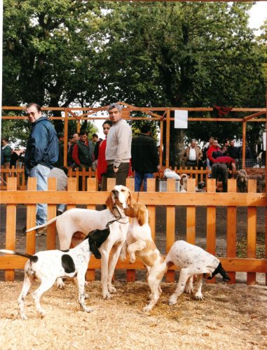 1999 Cans de caza 33
