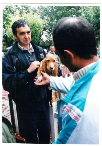 2000 Cans de caza 02