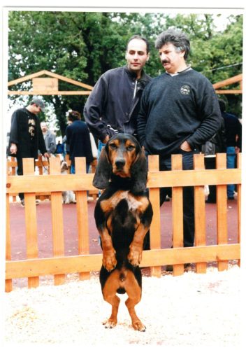 2000 Cans de caza 07