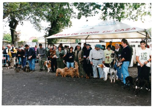2000 Cans de caza 12