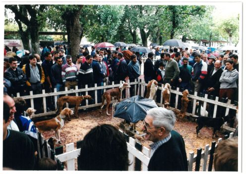 2000 Cans de caza 15