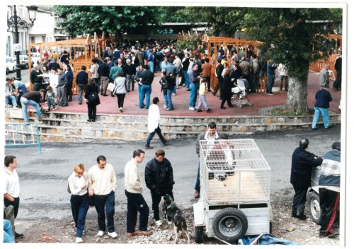 2000 Cans de caza 20