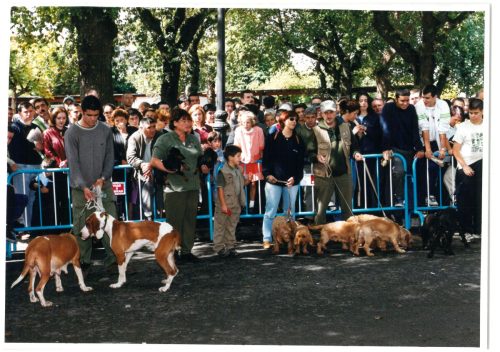 2000 Cans de caza 22
